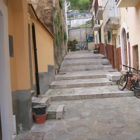 Cucciola