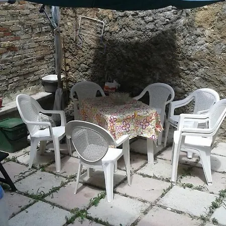 Cucciola *